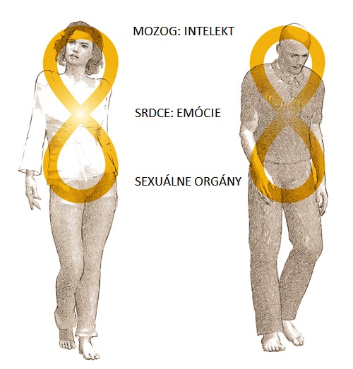 svata osmicka a tri mozgy